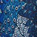 Peacock Print V-Neck Maxi Dress